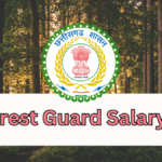 CG Forest Guard Salary and Job Profile: A Detailed Breakdown