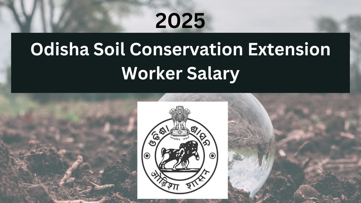 Odisha SSC Extension Worker Salary & Benefits 2025