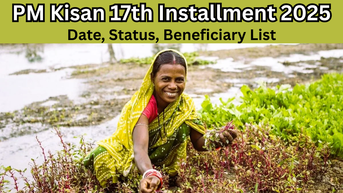 PM Kisan 17th Installment 2025 – Date, Status, Beneficiary List