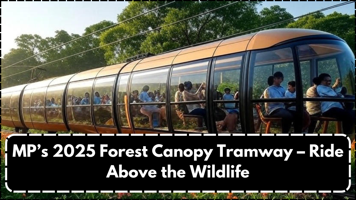 MP’s 2025 Forest Canopy Tramway – Ride Above the Wildlife